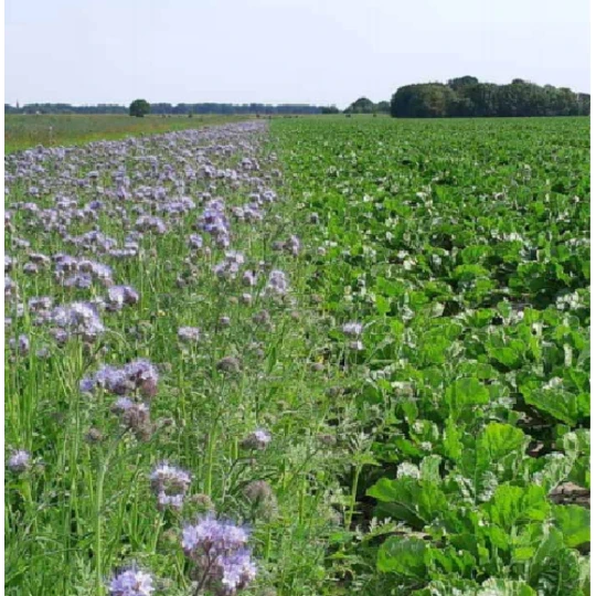 Talen Tools Talen Tools Vocht/pH/Lichtmeter 3 Talen Tools Talen Tools Vocht/pH/Lichtmeter