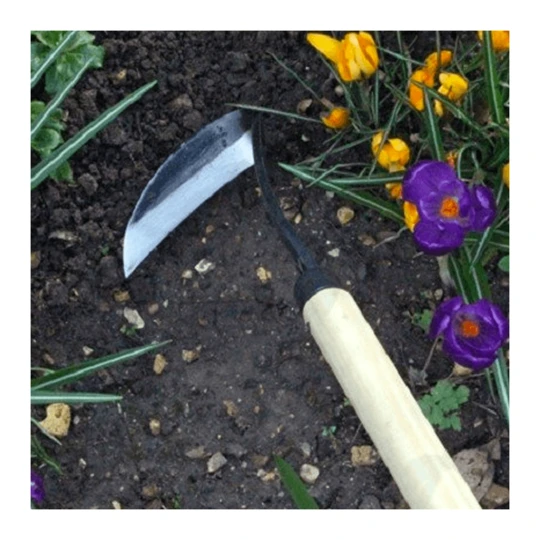 Burgon & Ball RHS Schrepel 12 Cm (koolstofstaal) 4 Burgon & Ball RHS Schrepel 12 Cm (koolstofstaal) - Afbeelding 2