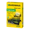 Barenbrug Resilient Blue® Lawn - Speelgazon 1 Barenbrug Resilient Blue® Lawn - Speelgazon -Tuinwinkel image 32