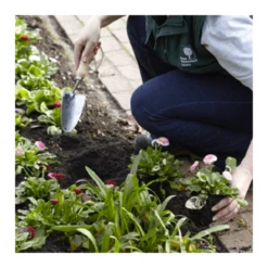 Tuinwinkel 21 Tuinwinkel -Tuinwinkel image 339