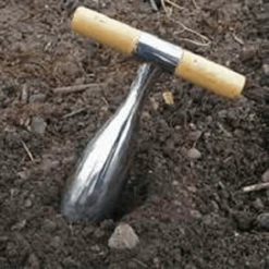 De Wiltfang RHS Pootstok 11 De Wiltfang RHS Pootstok -Tuinwinkel image 344