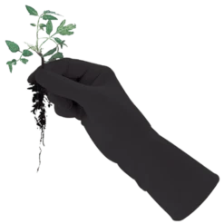 De Wiltfang Foxgloves Original -Tuinwinkel image 350