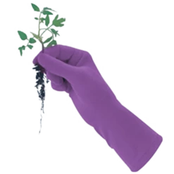 De Wiltfang Foxgloves Original -Tuinwinkel image 351