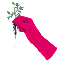 De Wiltfang Foxgloves Original -Tuinwinkel image 352