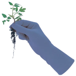 De Wiltfang Foxgloves Original -Tuinwinkel image 353