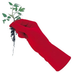 De Wiltfang Foxgloves Original -Tuinwinkel image 354