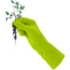 De Wiltfang Foxgloves Original -Tuinwinkel image 355