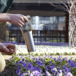 De Wiltfang RHS Bollenpriem, Handmodel -Tuinwinkel image 370
